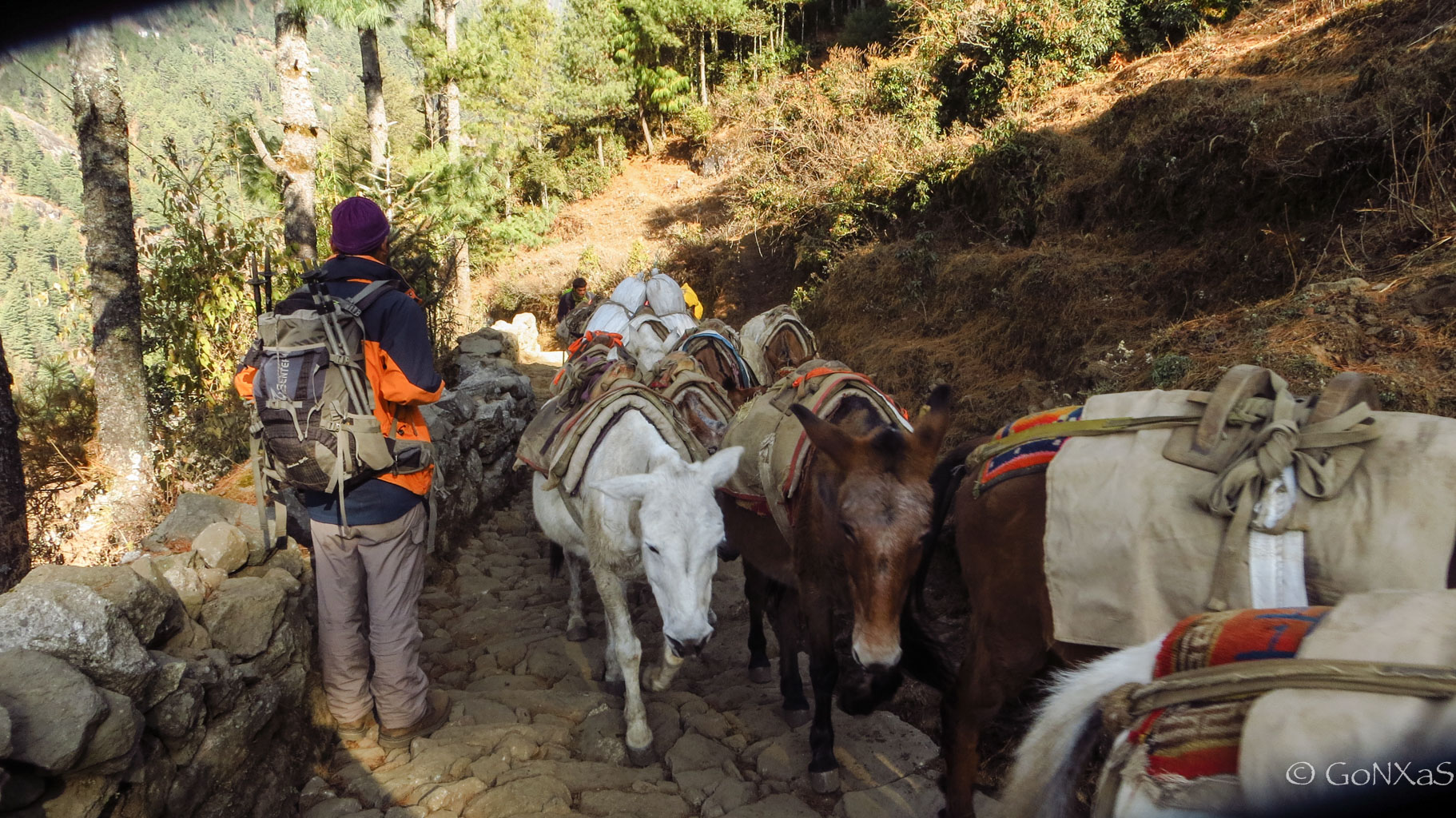 Foto porter a caballo