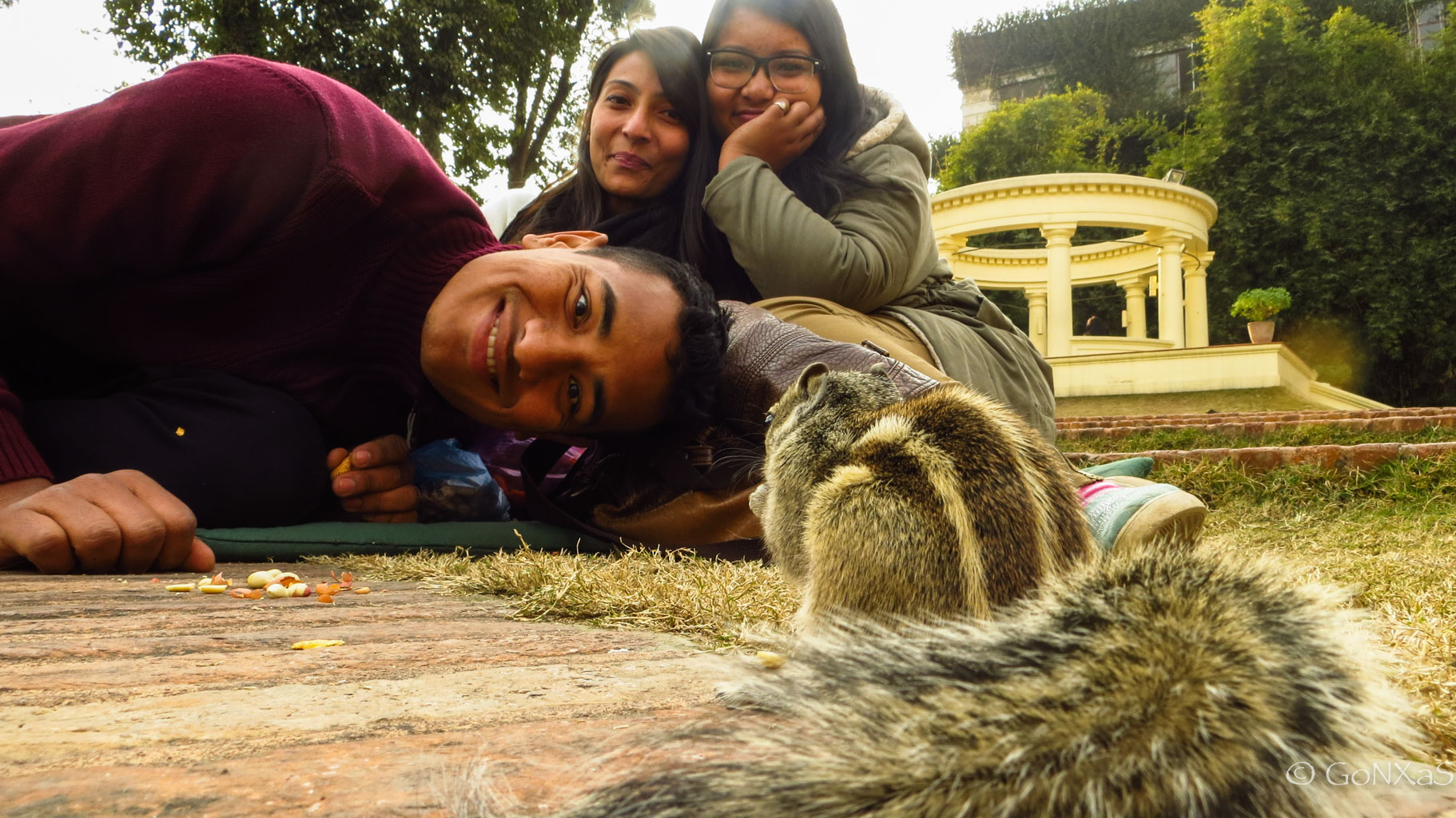 Foto ardilla, suzit, firoza, susi